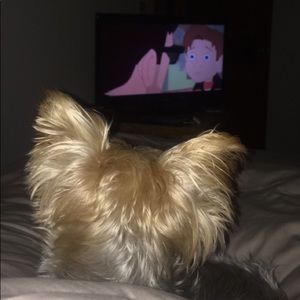 Meet your Posher, Olivia